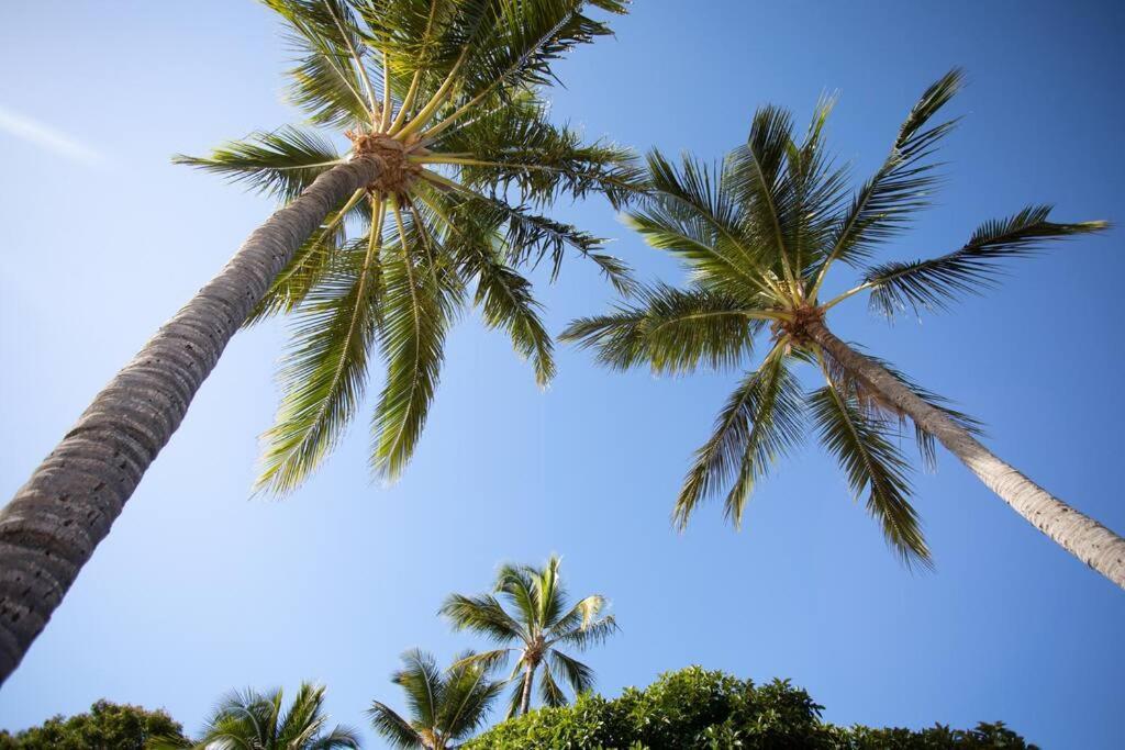 Airlie Sun & Sand Motel Accommodation #4 Airlie Beach Extérieur photo